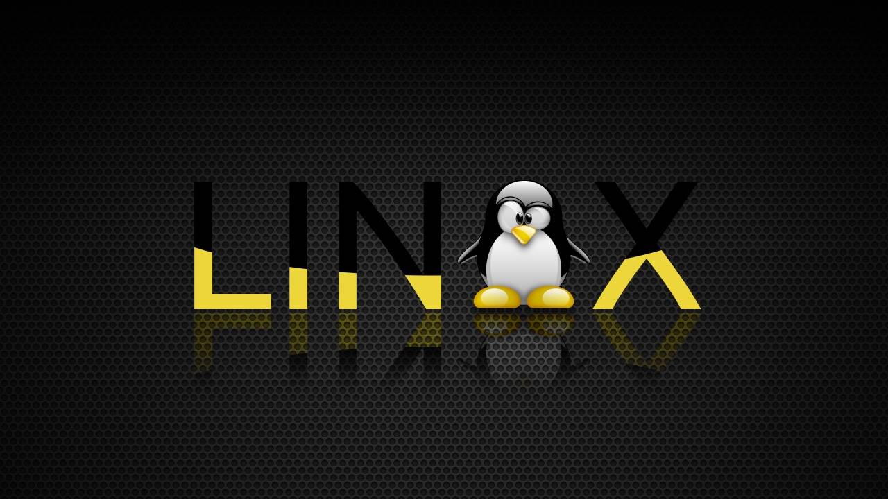 linux清空文件内容-讲解linux清空某目录内文件-第1张图片