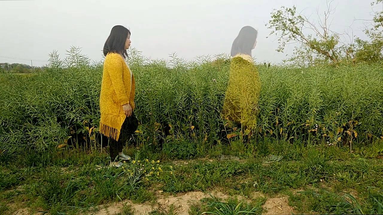 手机怎么拍抖音视频教程(新手第一次拍抖音的技巧)-第1张图片 手机怎么拍抖音视频教程(新手第一次拍抖音的技巧)-第1张图片