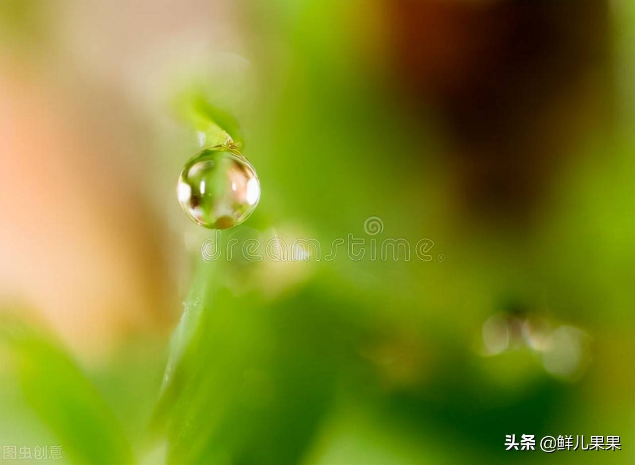 ppt页面大小怎么调整-ppt页面比例设置步骤-第5张图片