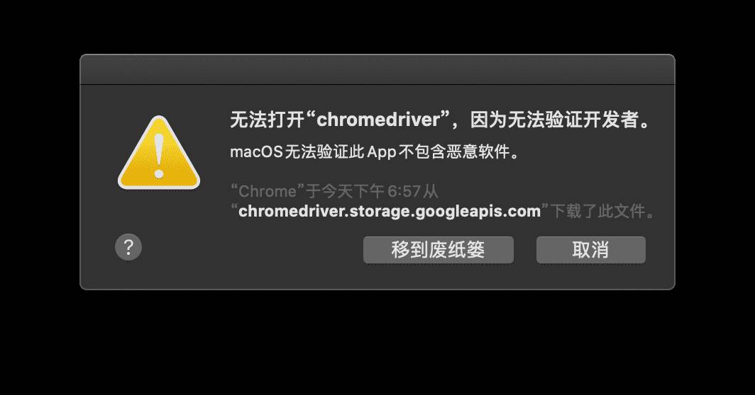 chromedriver对应版本怎么看-chrome打不开任何网页和设置-第5张图片