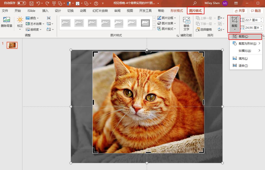 ppt里面怎么把图片变成圆形-ppt图片四角设置圆的步骤-第1张图片 ppt里面怎么把图片变成圆形-ppt图片四角设置圆的步骤-第1张图片