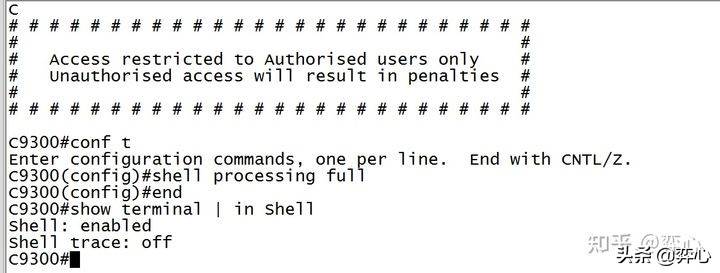 思科ssh配置命令-cisco交换机ssh配置命令-第3张图片
