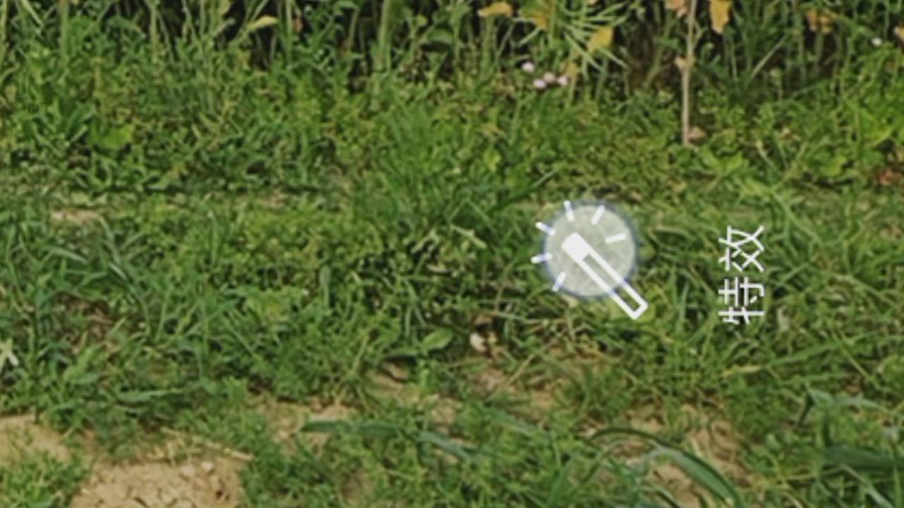 手机怎么拍抖音视频教程(新手第一次拍抖音的技巧)-第3张图片 手机怎么拍抖音视频教程(新手第一次拍抖音的技巧)-第3张图片