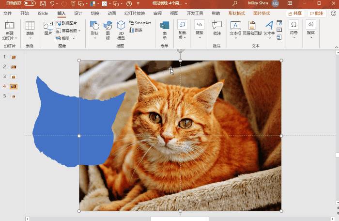 ppt里面怎么把图片变成圆形-ppt图片四角设置圆的步骤-第7张图片 ppt里面怎么把图片变成圆形-ppt图片四角设置圆的步骤-第7张图片