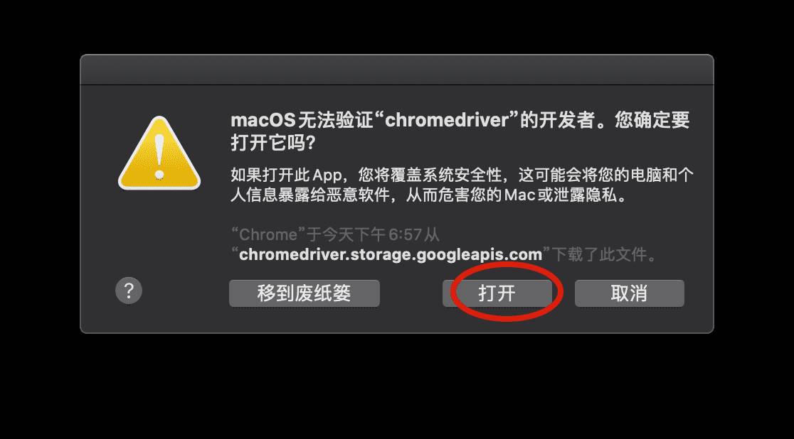 chromedriver对应版本怎么看-chrome打不开任何网页和设置-第8张图片
