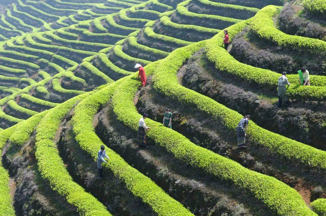 抖音网红景点排名（2021抖音里最火的旅游景点）-第13张图片