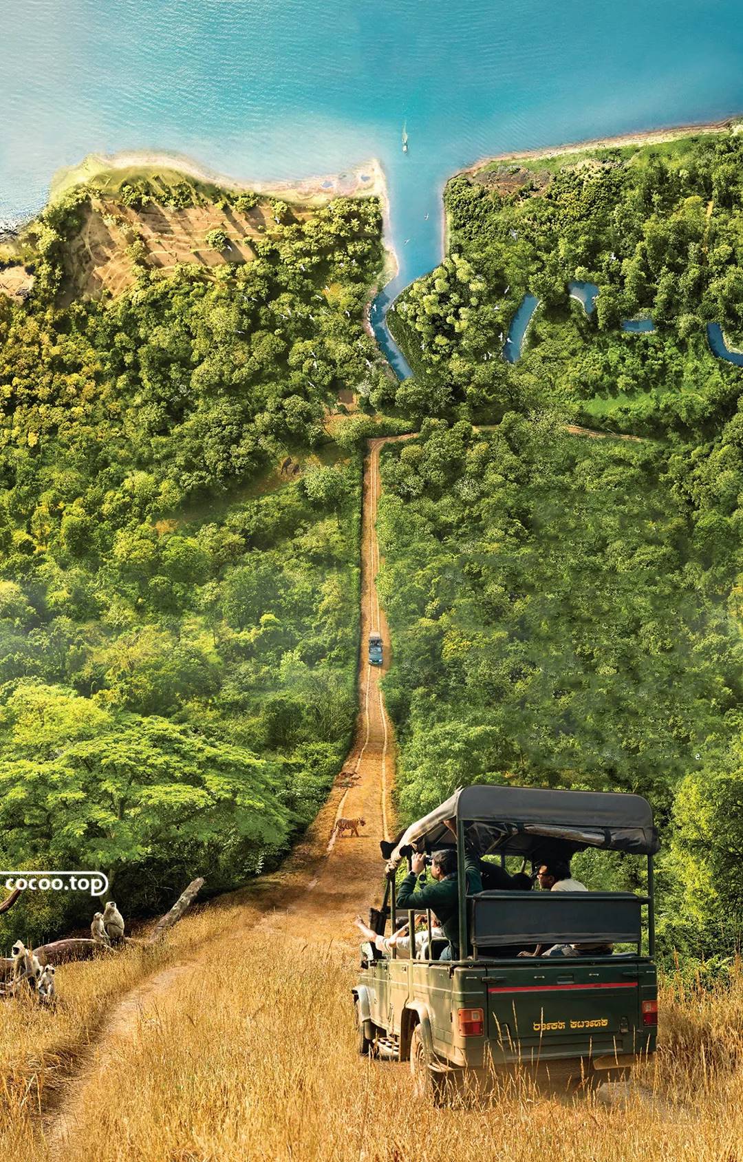 海报分析怎么写-讲解自己设计的海报-第8张图片