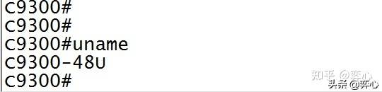 思科ssh配置命令-cisco交换机ssh配置命令-第12张图片