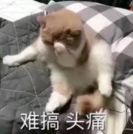 excel打印选定区域怎么操作-excel序号自动填充方法-第2张图片 excel打印选定区域怎么操作-excel序号自动填充方法-第2张图片