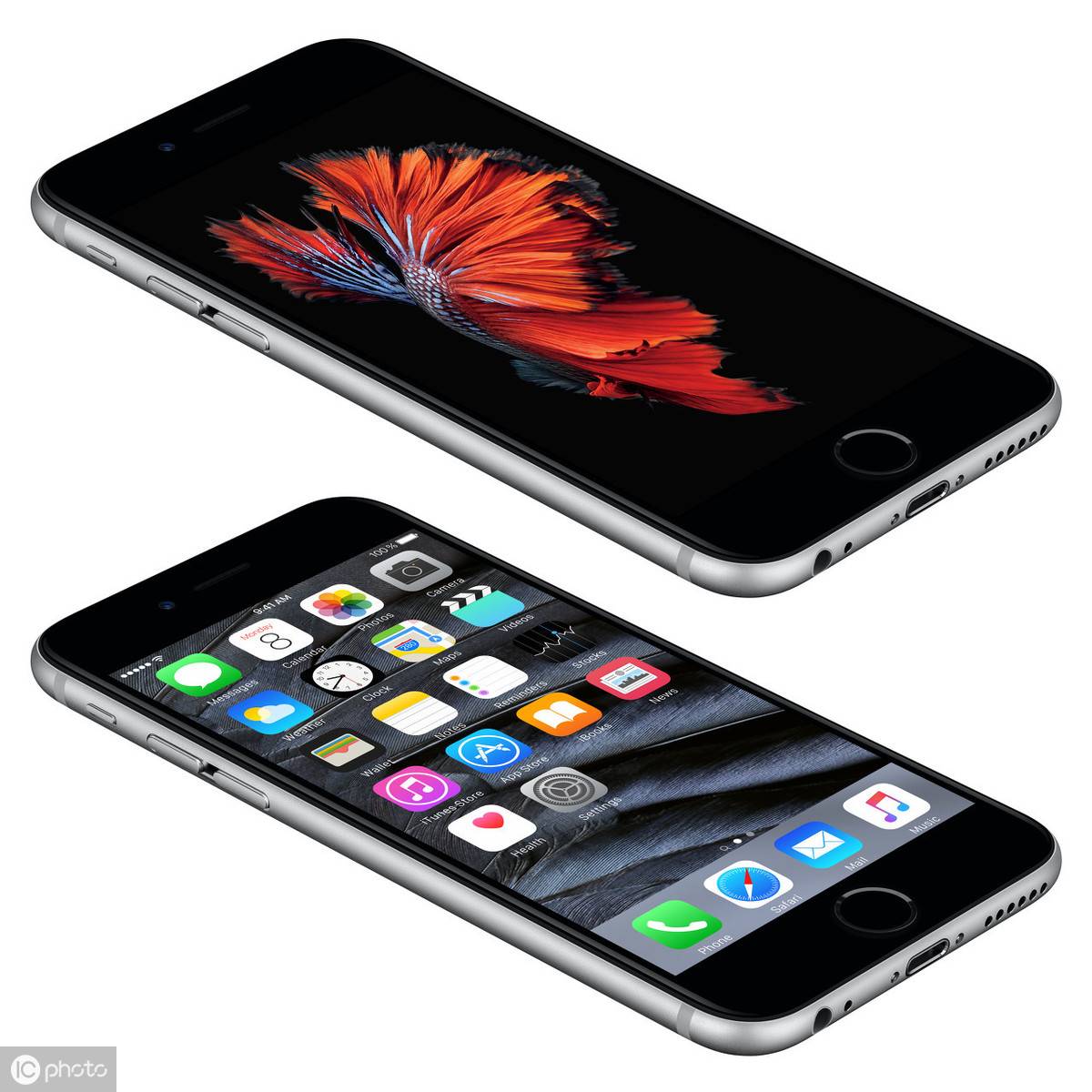 iphone6s屏幕尺寸多大（苹果13pro官网价格查询）-第1张图片