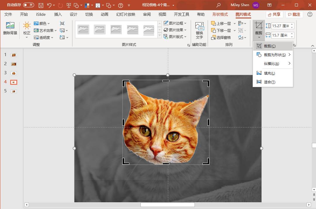 ppt里面怎么把图片变成圆形-ppt图片四角设置圆的步骤-第8张图片 ppt里面怎么把图片变成圆形-ppt图片四角设置圆的步骤-第8张图片