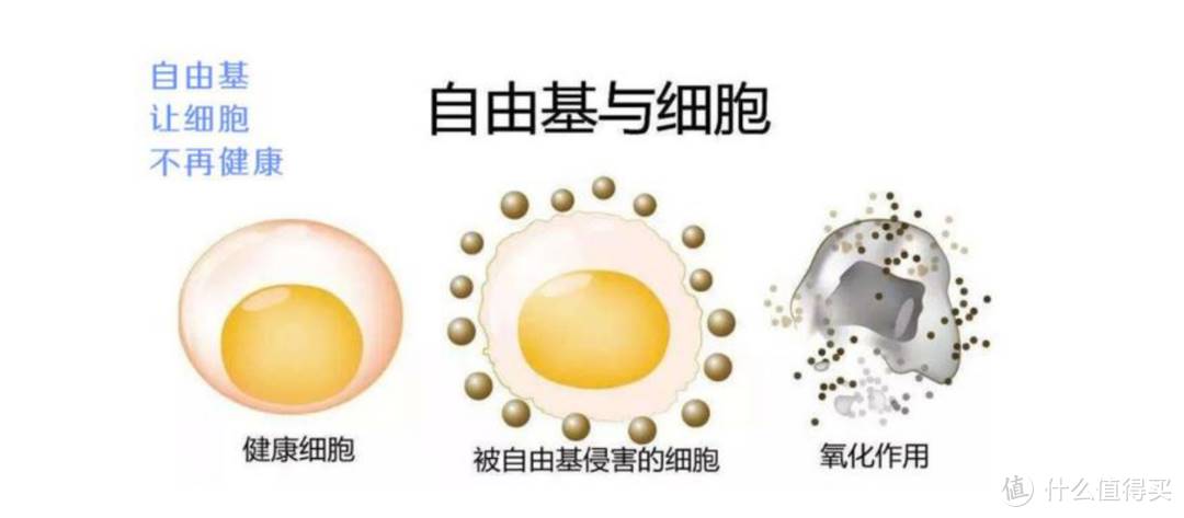 卡尼尔男士洁面乳怎么样(男士洁面乳排行榜)-第4张图片 卡尼尔男士洁面乳怎么样(男士洁面乳排行榜)-第4张图片